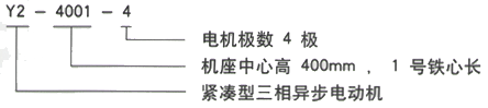 YR系列(H355-1000)高压YKS5601-2/1800KW三相异步电机西安西玛电机型号说明